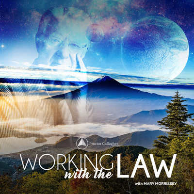 Working With the Law